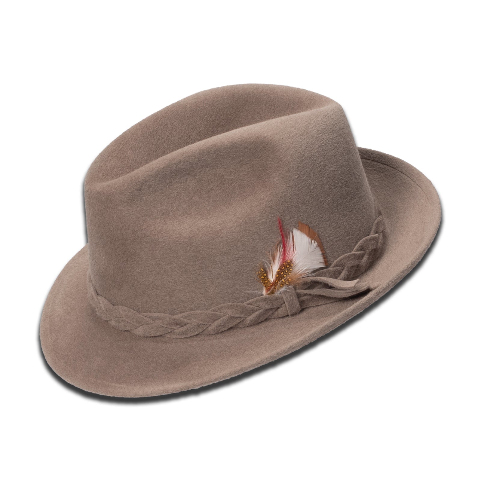 Golden Pheasant by Biltmore